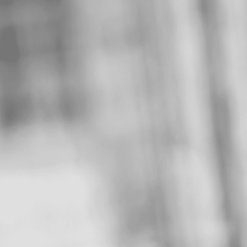 Guillermo González Castilla